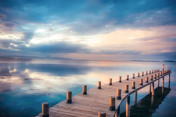 学做美食做法大全